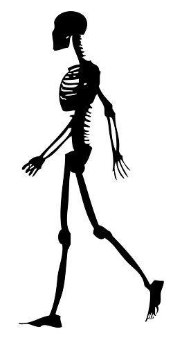 skeleton-walking-2