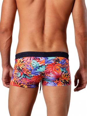 Geronimo Boxers, Item number: 1423b1, Color: Multi, photo 4