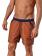 Geronimo Swim Shorts, Item number: 1410p4 Brown, Color: Brown, photo 1