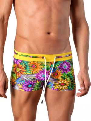 Geronimo Boxers, Item number: 1420b1 Yellow, Color: Multi, photo 1