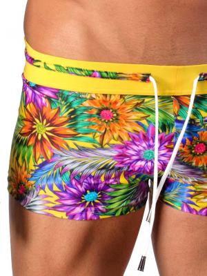 Geronimo Boxers, Item number: 1420b1 Yellow, Color: Multi, photo 4