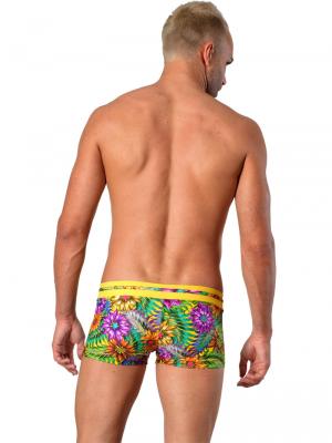 Geronimo Boxers, Item number: 1420b1 Yellow, Color: Multi, photo 6