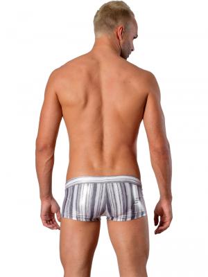 Geronimo Square Shorts, Item number: 1427b2 Grey, Color: Multi, photo 5