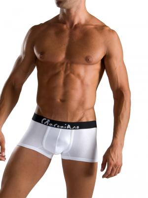 Geronimo Boxers, Item number: 1051b1 Boxer Brief White, Color: White, photo 2