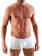 Geronimo Boxers, Item number: 1352b1 Boxer Brief White, Color: White, photo 2