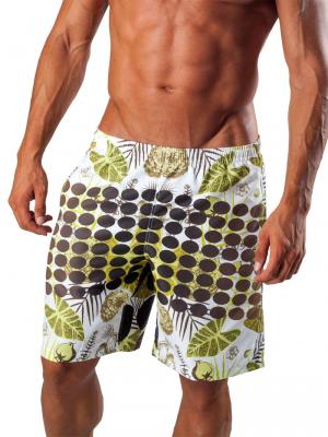 Geronimo Board Shorts, Item number: 1550p4 Boardshorts, Color: Multi, photo 1