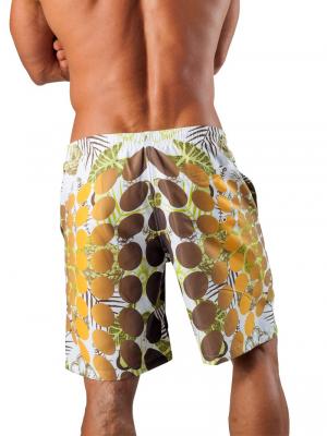 Geronimo Board Shorts, Item number: 1550p4 Boardshorts, Color: Multi, photo 5