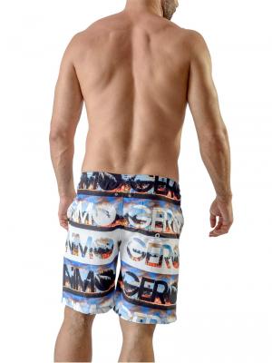 Geronimo Board Shorts, Item number: 1721p4 Boardshorts for Men, Color: Multi, photo 5