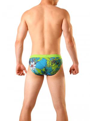 Geronimo Briefs, Item number: 1801s2 Green Swimming Brief, Color: Green, photo 5