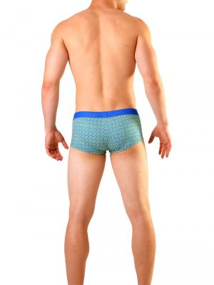 Geronimo Square Shorts, Item number: 1810b2 Blue Swim Hipster, Color: Blue, photo 5