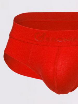 Geronimo Briefs, Item number: 1861s2 Red Brief for Men, Color: Red, photo 2