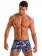 Geronimo Boxers, Item number: 1903b1 Blue Shell Swim Trunk, Color: Blue, photo 2