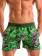 Geronimo Swim Shorts, Item number: 1903p1 Green Shell Swim Short, Color: Green, photo 1