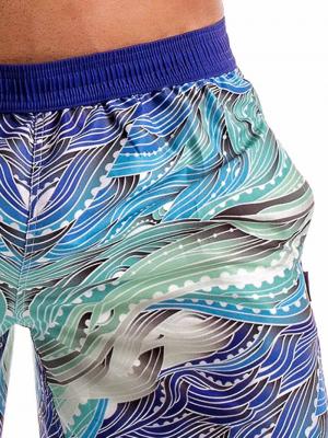 Geronimo Board Shorts, Item number: 1918p4 Blue Seaweed Surfshorts, Color: Blue, photo 3